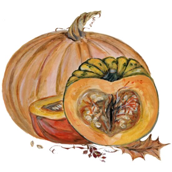 3046 Squash Thumbnail