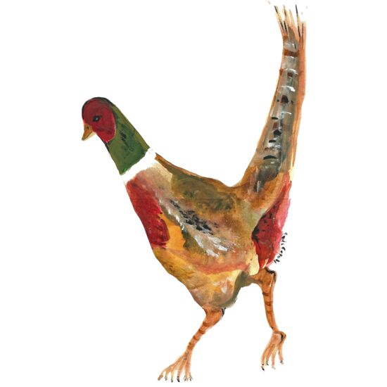 90551 Pheasant Thumbnail