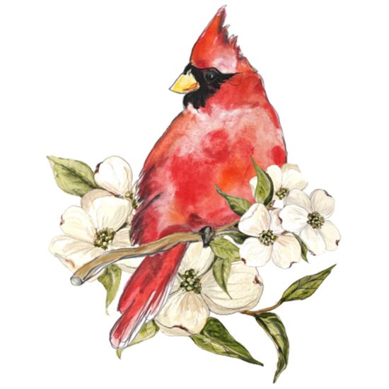 117 Cardinal with Dogwood Thumbnail