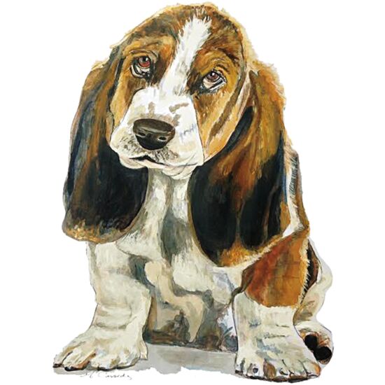 5018 Nicholas Thumbnail