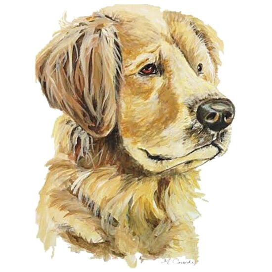 5019 Honey Thumbnail