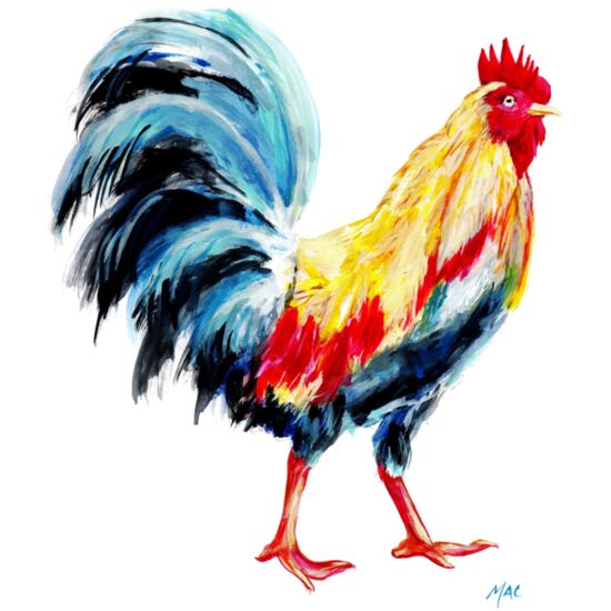 4050 Morning Rooster Thumbnail