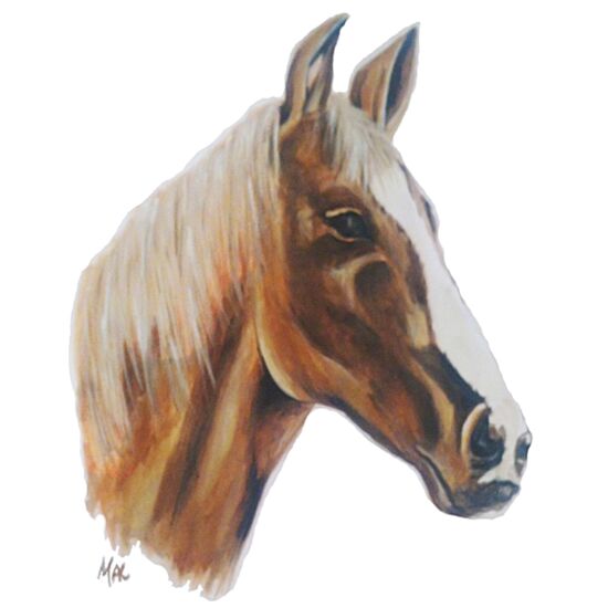 4051 Thoroughbred Thumbnail