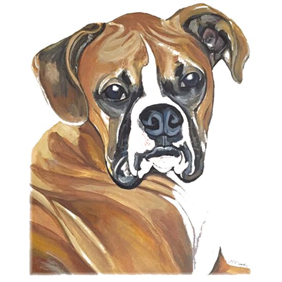 8045 Boxer Thumbnail