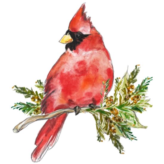 113 Cardinal Thumbnail