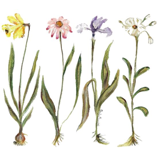 7011 Early Spring Thumbnail