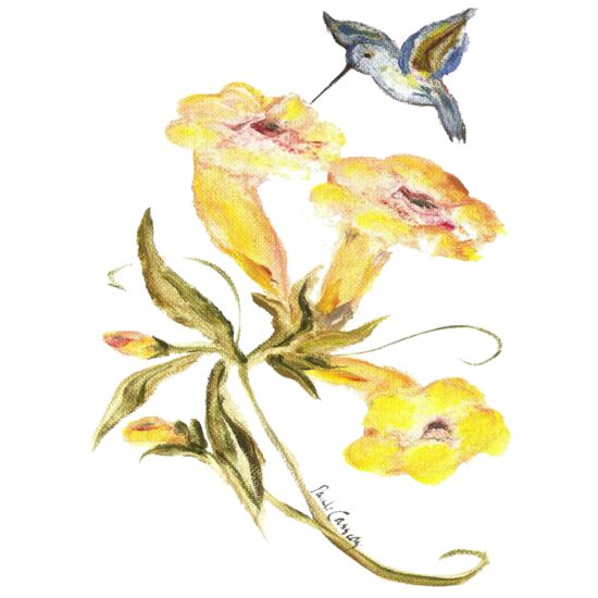 90351 Hummingbird Thumbnail