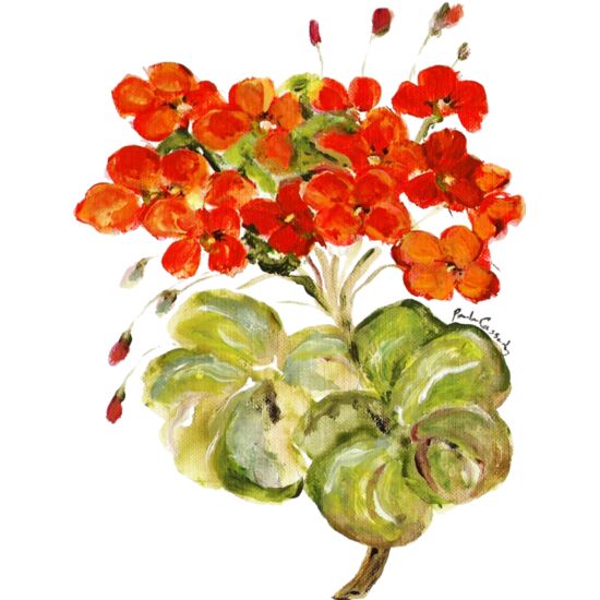 9048 Geranium Thumbnail