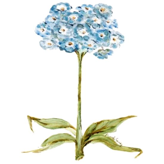 3060 Coquette Thumbnail