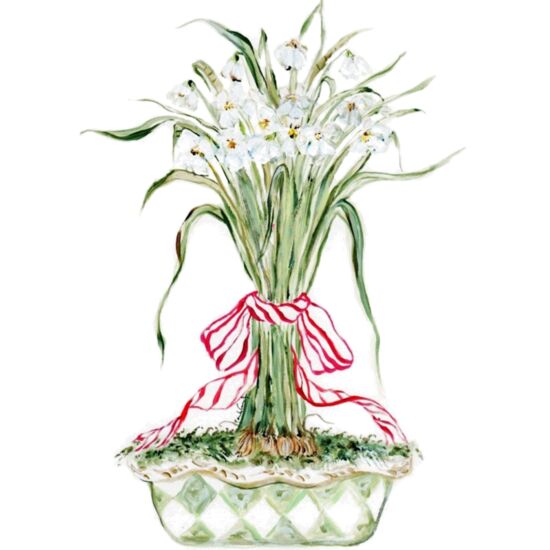 4040 Paper Whites Thumbnail