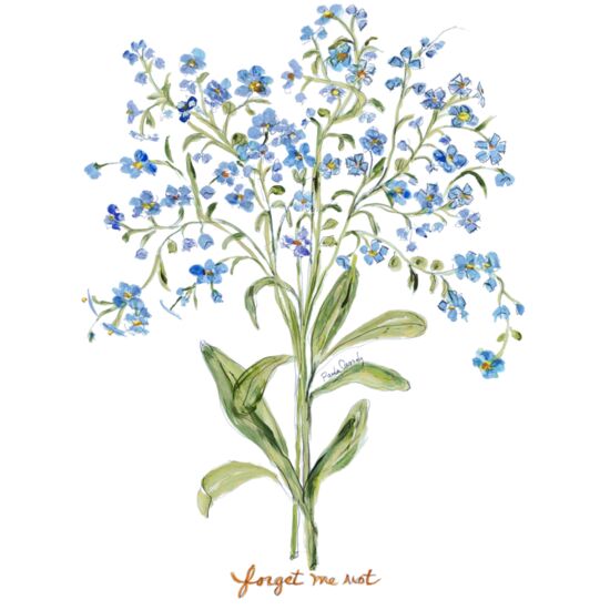 121 Forget Me Not Thumbnail