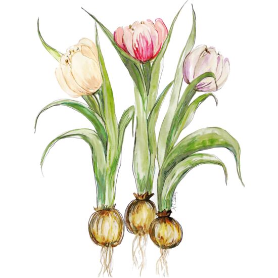 43 Fresh Blooms Thumbnail