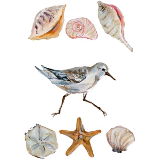 3031 Beachcomber Thumbnail