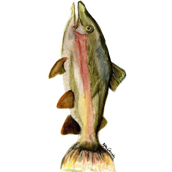 90211 Catch of the Day Fish Thumbnail