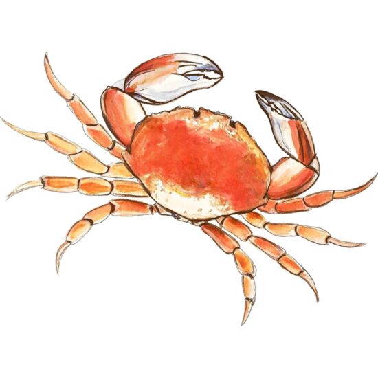 90205 Red Crab Thumbnail