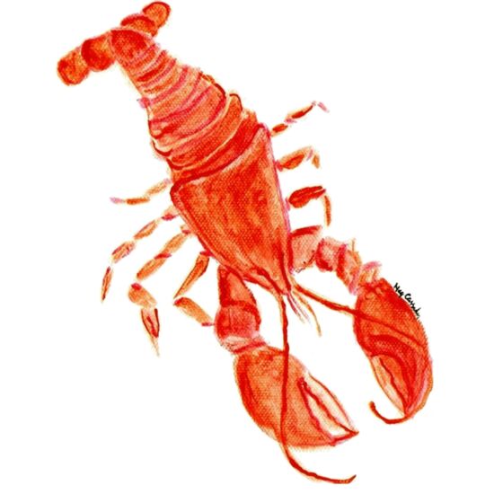 90212 Catch of the Day Lobster Thumbnail