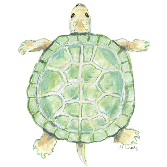 4019 Sea Turtle Thumbnail