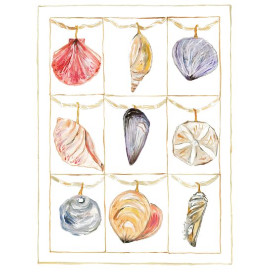 70 Sand Shells Thumbnail