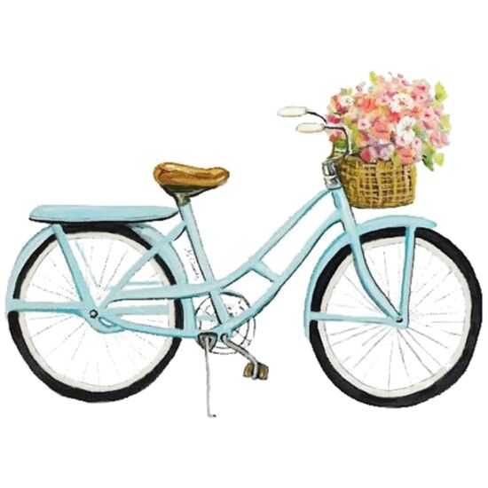 4073 Blue Bike Thumbnail