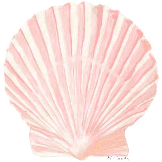 4017 Pink Scallop Thumbnail