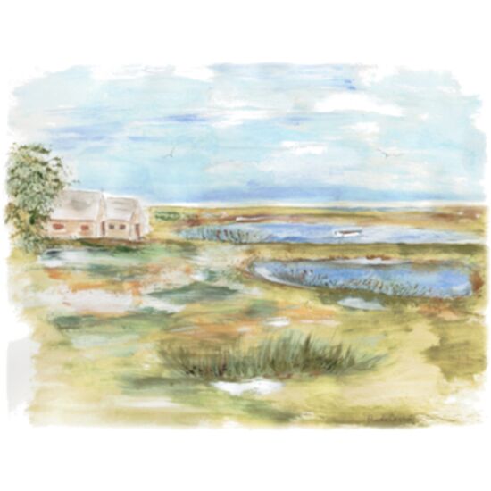 63 Cape Marsh Thumbnail