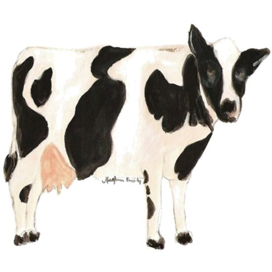 20271 Pasture Thumbnail