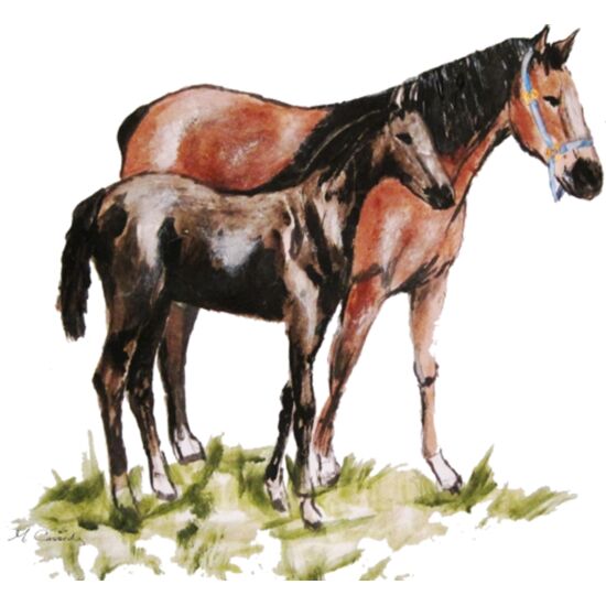 3068 Hill and Dale Thumbnail