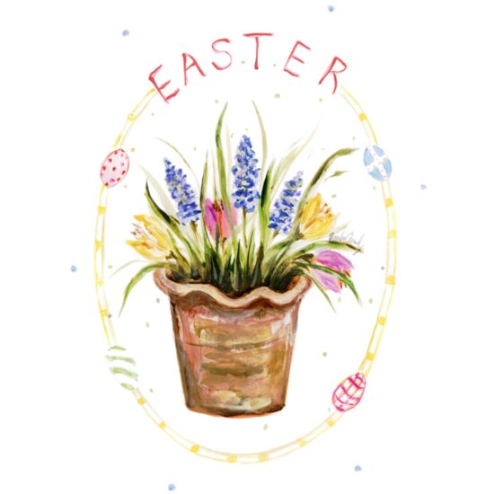 4015 Cocus Thumbnail