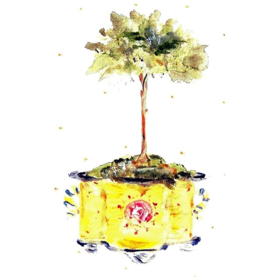 60832 Provence Thumbnail