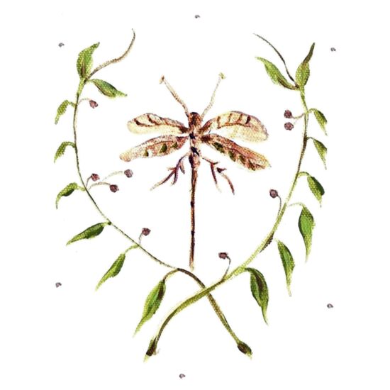 60951 In the Garden Dragonfly Thumbnail