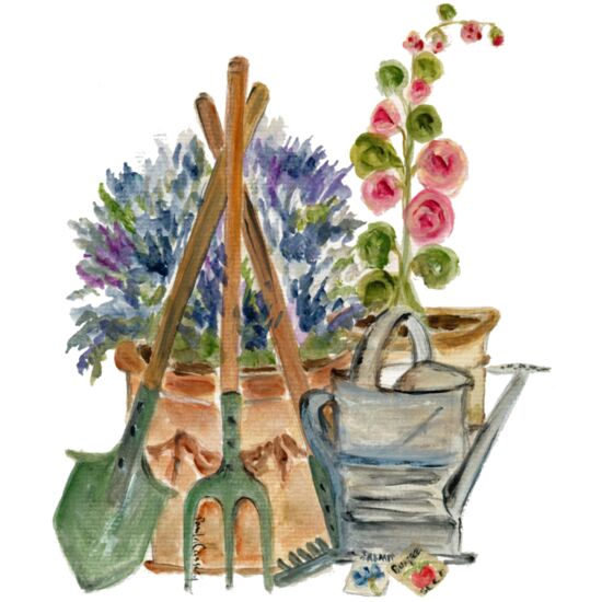 20671 Planting Day Thumbnail