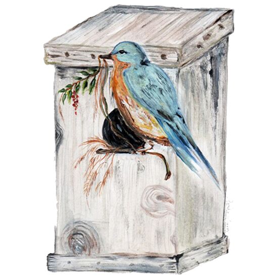 4056 Backyard Thumbnail