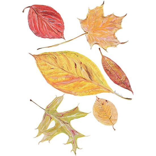 5093 Falling Leaves Thumbnail