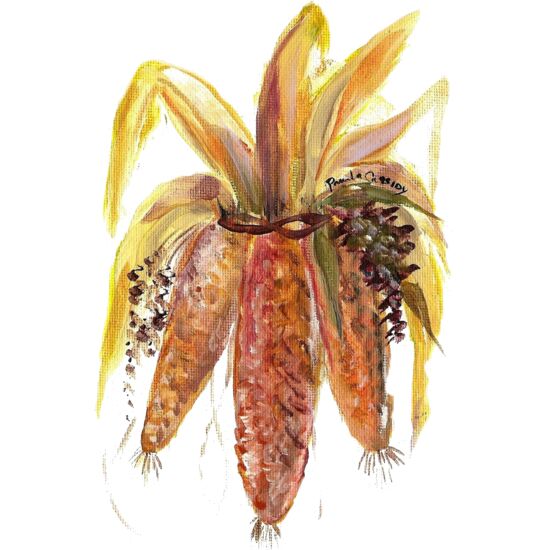 90071 Indian Summer Thumbnail