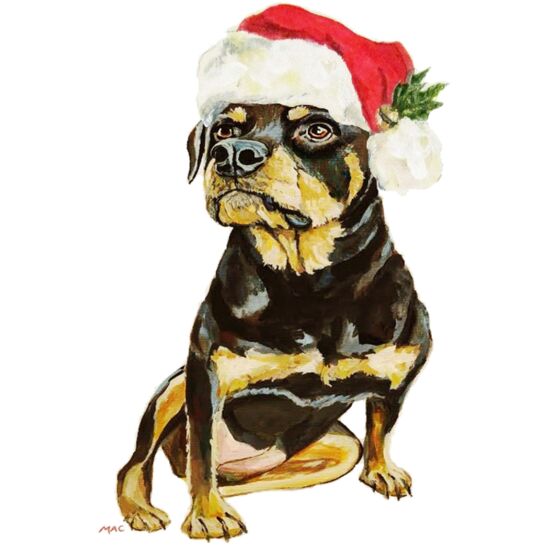 80415 Christmas Rottie Thumbnail