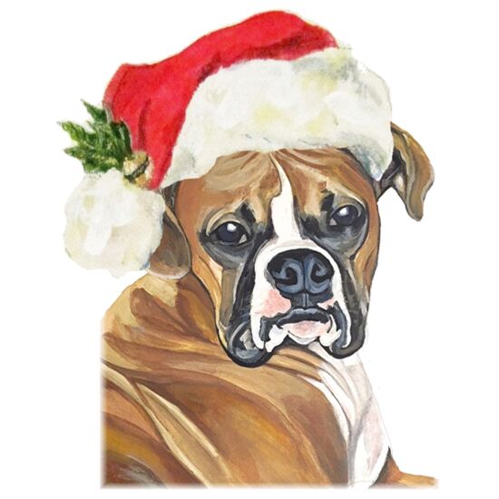80455 Christmas Boxer Thumbnail