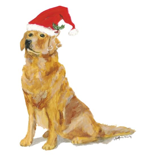 8025 Christmas Beau Thumbnail