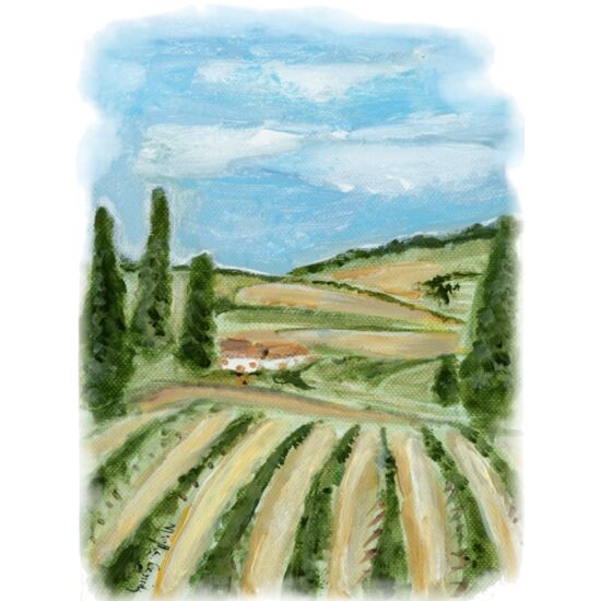 60392 Vineyard 2 Thumbnail