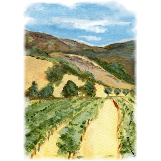 60391 Vineyard 1 Thumbnail