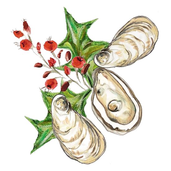 142 Oyster Mistletoe Thumbnail