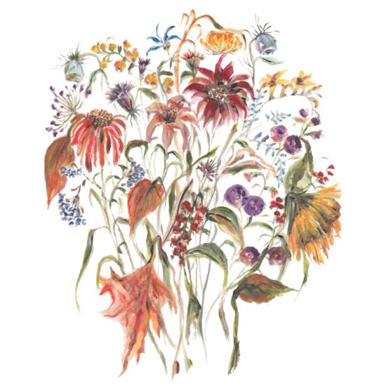 4088 September Thumbnail