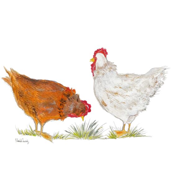 206 Daybreak Thumbnail