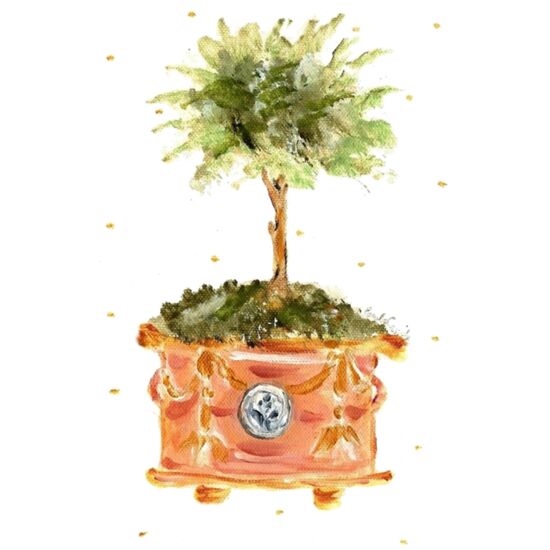 60831 Provence Thumbnail