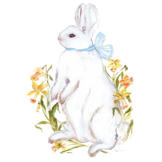 5005 Daffodil Thumbnail