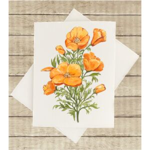 Notecard - PT Thumbnail