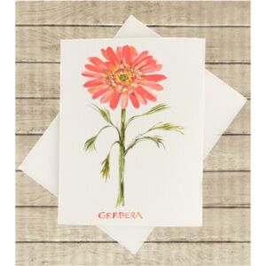 Notecard - PT Thumbnail