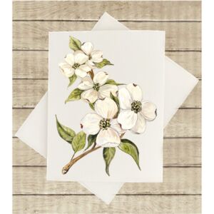 Notecard - PT Thumbnail