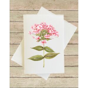 Greeting Card - PT Thumbnail