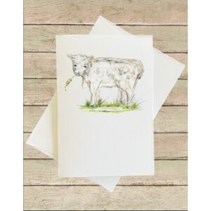 Greeting Card - PT Thumbnail