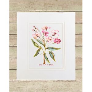 Matted Print Small Thumbnail